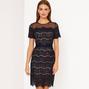 JAX Boutique Navy Blue Lace Mesh Crewneck Fitted Sheath Cocktail Party Dress - 4